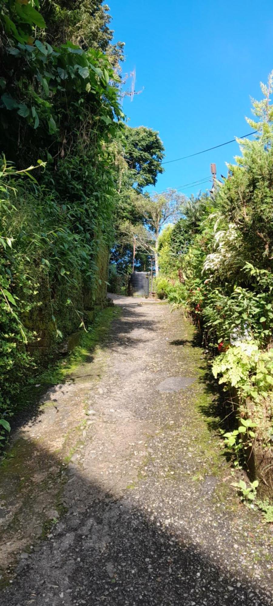 Seven Hills Homestay 칼림퐁 객실 사진